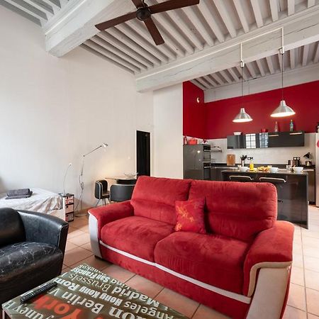Emplacement N°1 Tres Bel Appartement Spacieux Carcassonne Zewnętrze zdjęcie